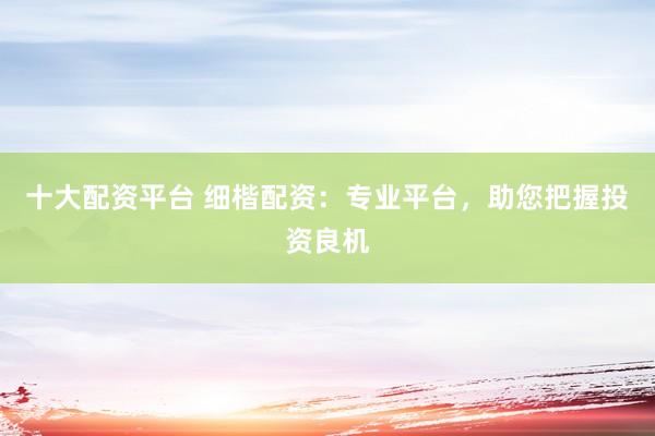 十大配资平台 细楷配资：专业平台，助您把握投资良机