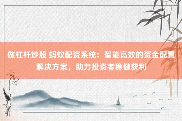 做杠杆炒股 蚂蚁配资系统：智能高效的资金配置解决方案，助力投资者稳健获利