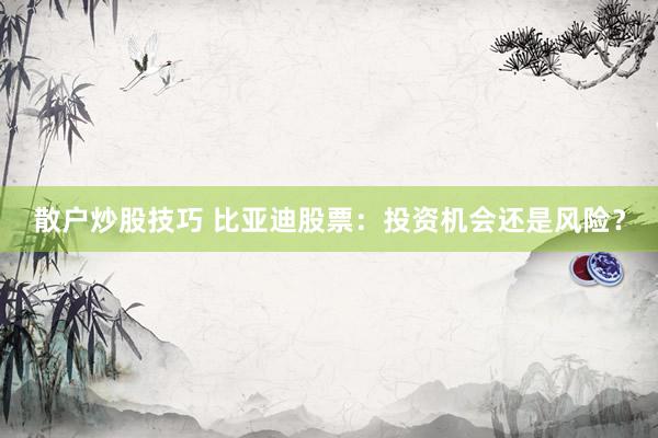 散户炒股技巧 比亚迪股票：投资机会还是风险？