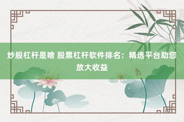 炒股杠杆是啥 股票杠杆软件排名：精选平台助您放大收益