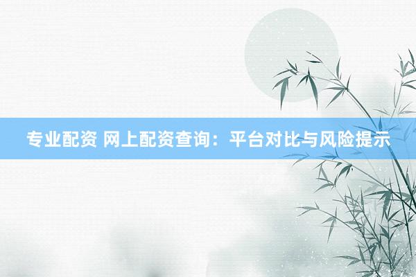 专业配资 网上配资查询：平台对比与风险提示