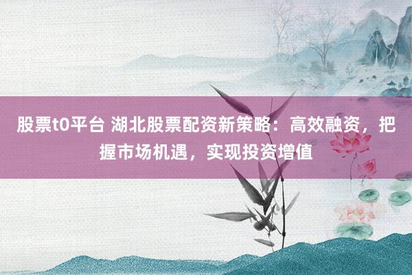 股票t0平台 湖北股票配资新策略:高效融资,把握市场机遇,实现投资增值